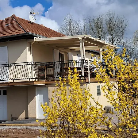 Grand Des Pins Prázdninový dům Chaumousey